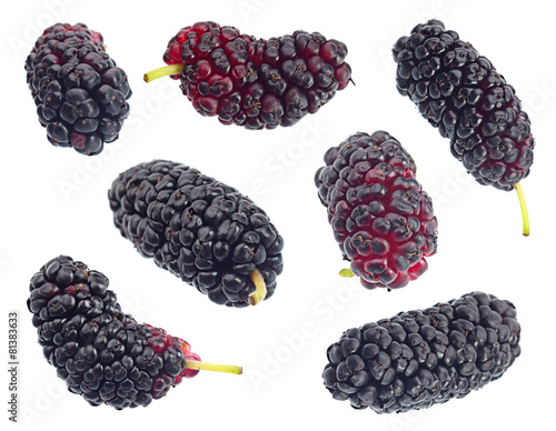 Black mulberry fruit set