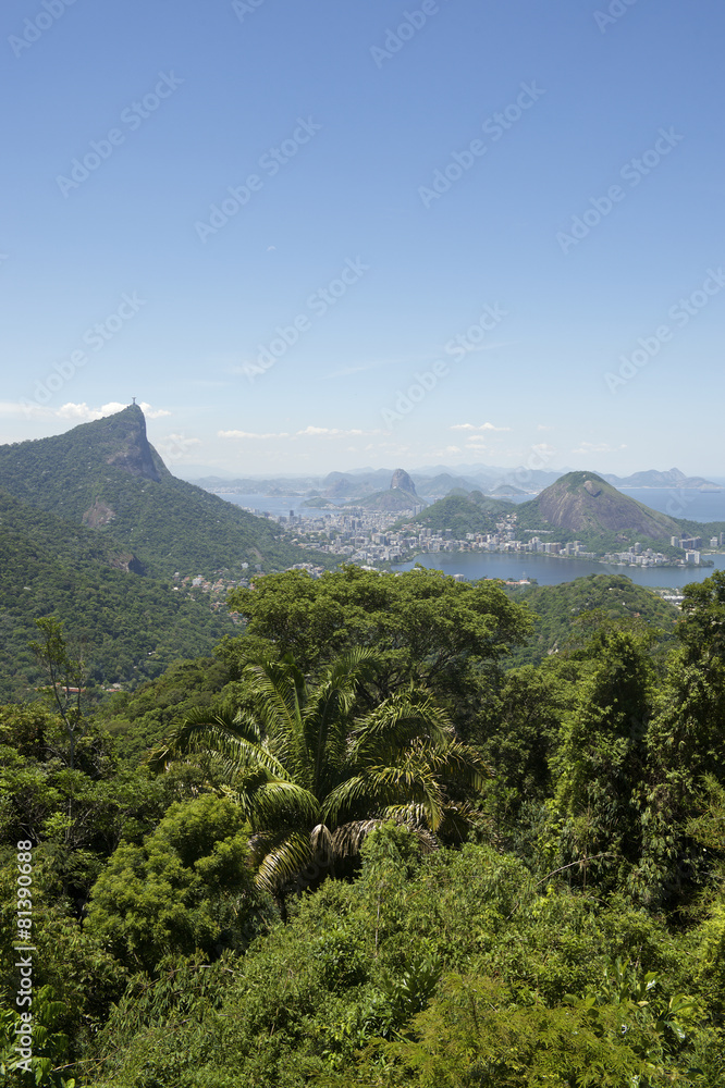 Rio de Janeiro Jungle Skyline