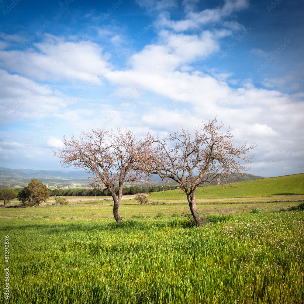 Sardegna, paesaggio di campagna in primavera Sardegna, paesaggio di campagna in primavera