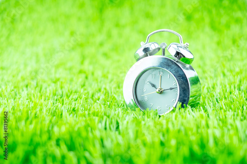 Silver alarm clock on green grass