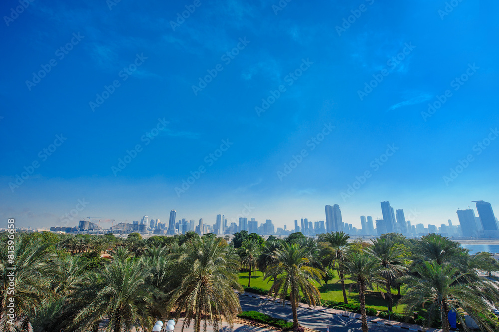 Palm trees and distant view of the city