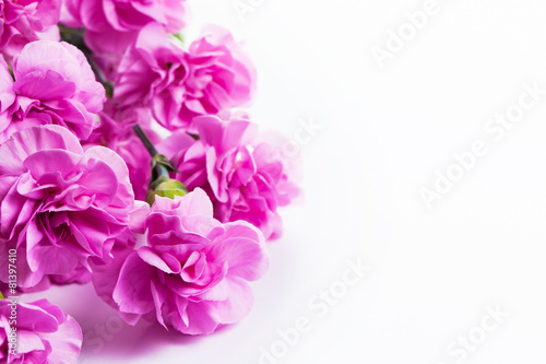 Fototapeta Naklejka Na Ścianę i Meble -  Pink soft spring flowers bouquet on white background