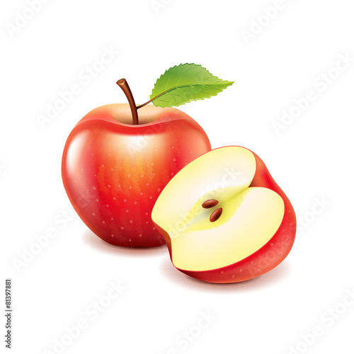 Red apple and slice isolated on white vector