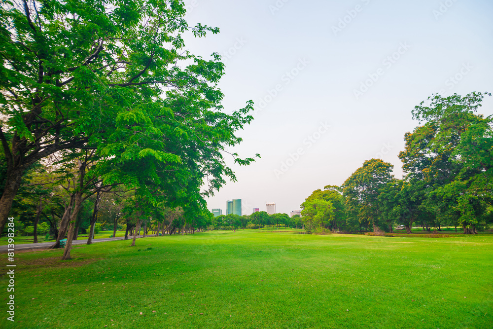 Green field city park, Beautiful lawn Green field city park, Beautiful lawn