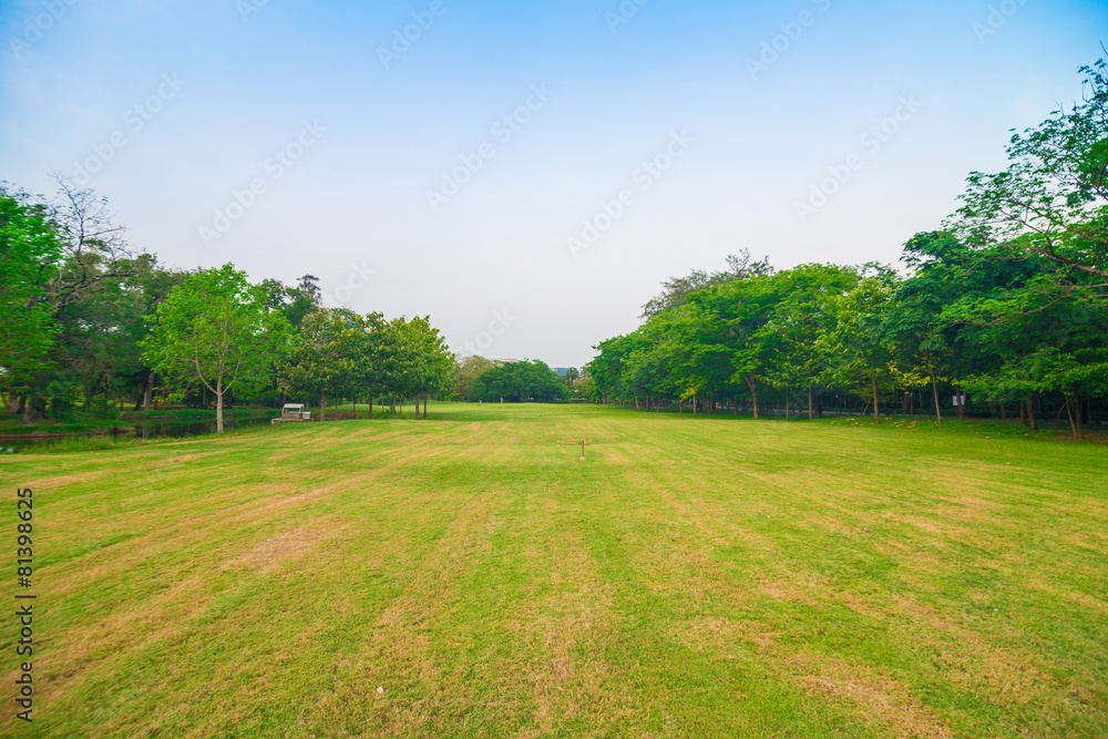 Green field city park, Beautiful lawn