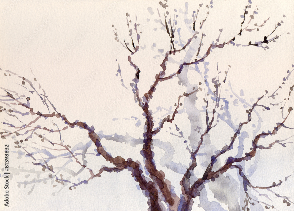 Watercolor landscape. The bare branches of a tree