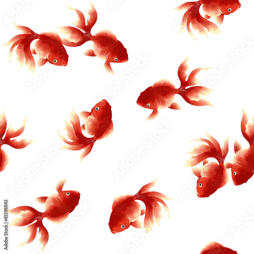 金魚，