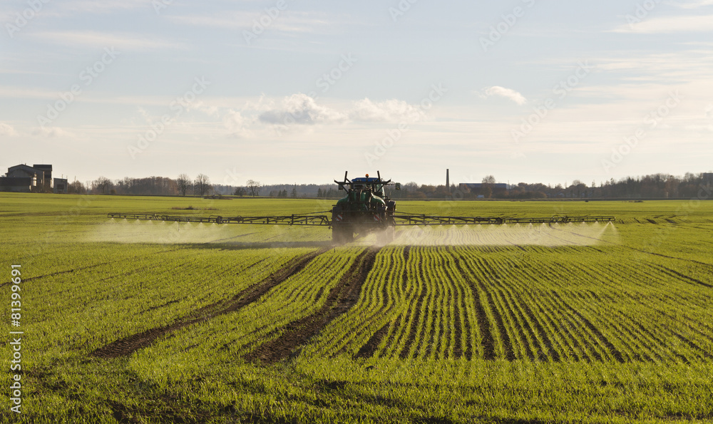 Obraz premium Tractor spraying.