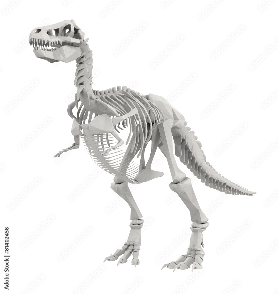 Dinosaur Skeleton isolated on white Dinosaur Skeleton isolated on white