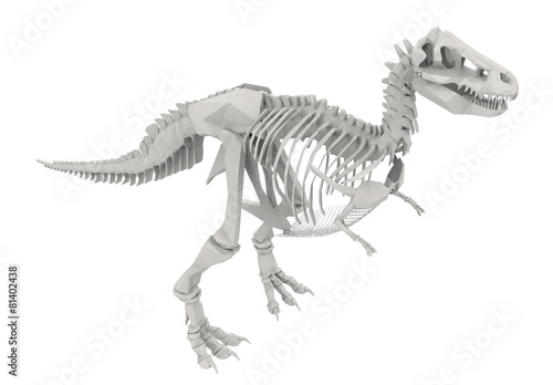 Dinosaur Skeleton isolated on white