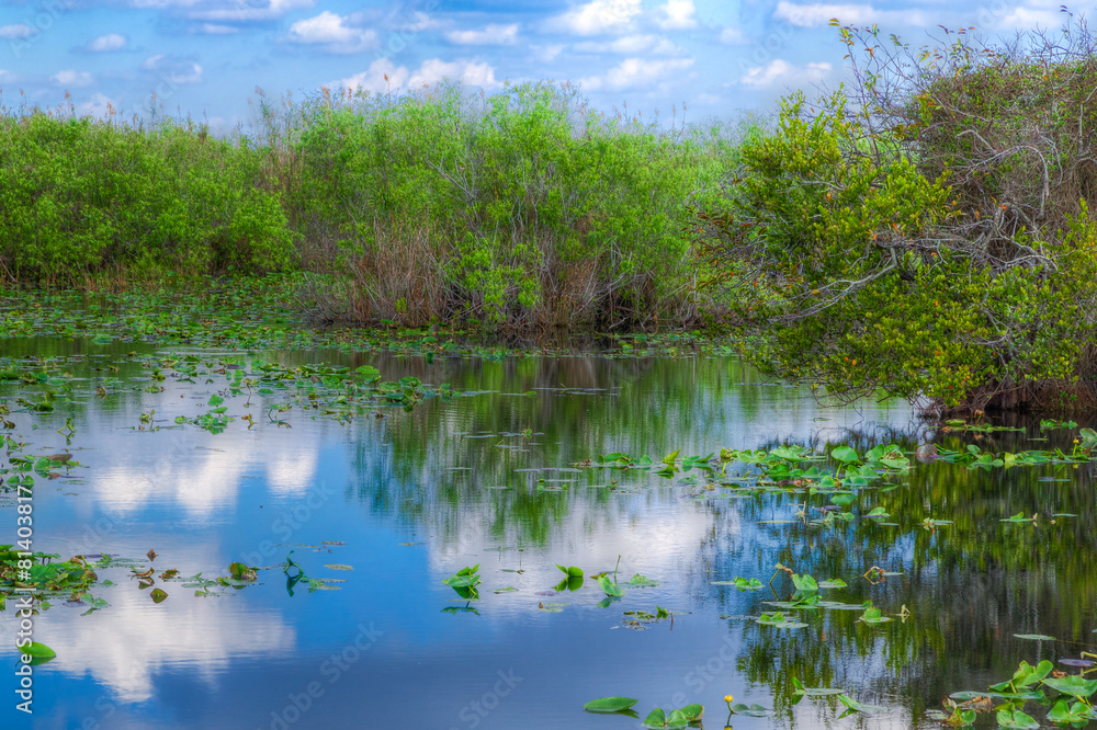 Florida-Everglades National Park- Anhinga Trail Florida-Everglades National Park- Anhinga Trail