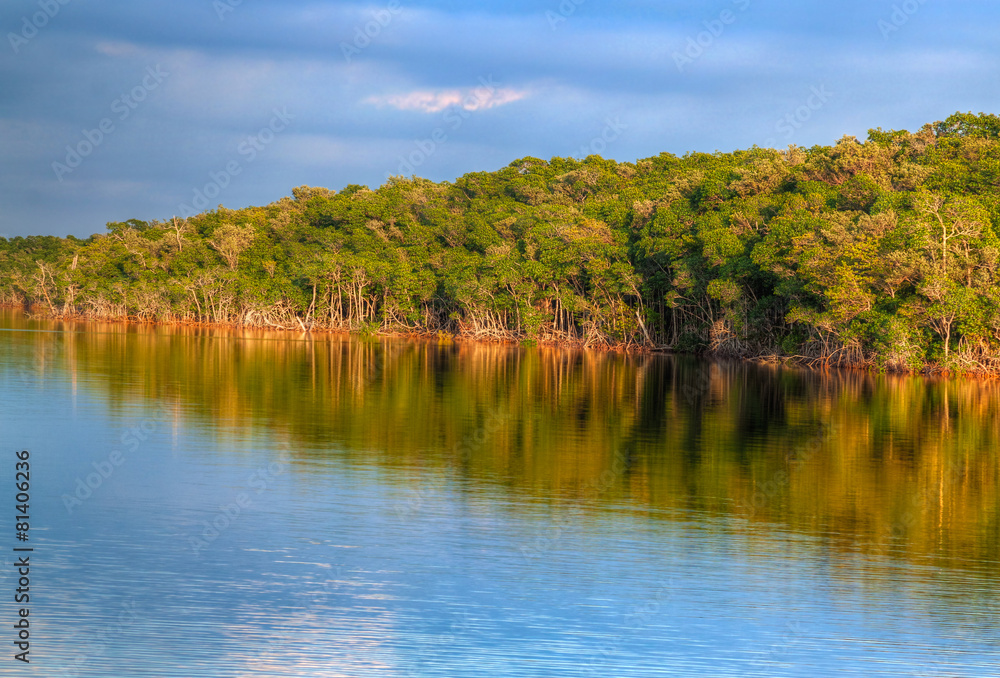 FL-Everglades National Park-Coot Bay
