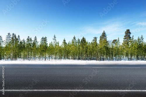 Fototapeta Naklejka Na Ścianę i Meble -  road in winter forest