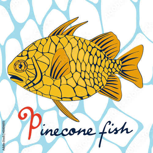 Pinecone fish