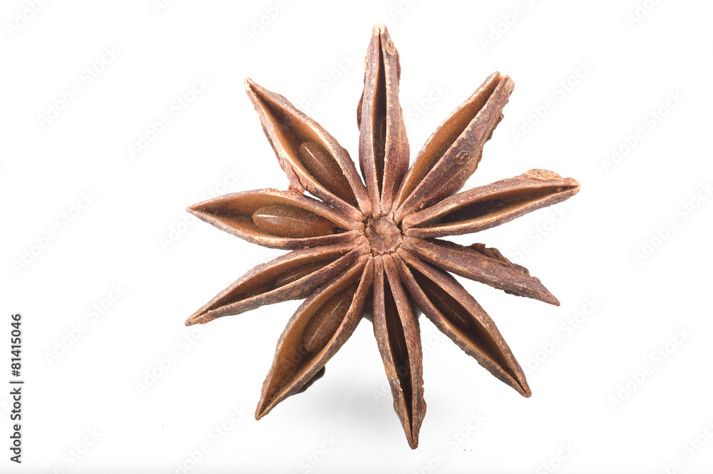 Star anise spice fruits and seeds on white Star anise spice fruits and seeds on white
