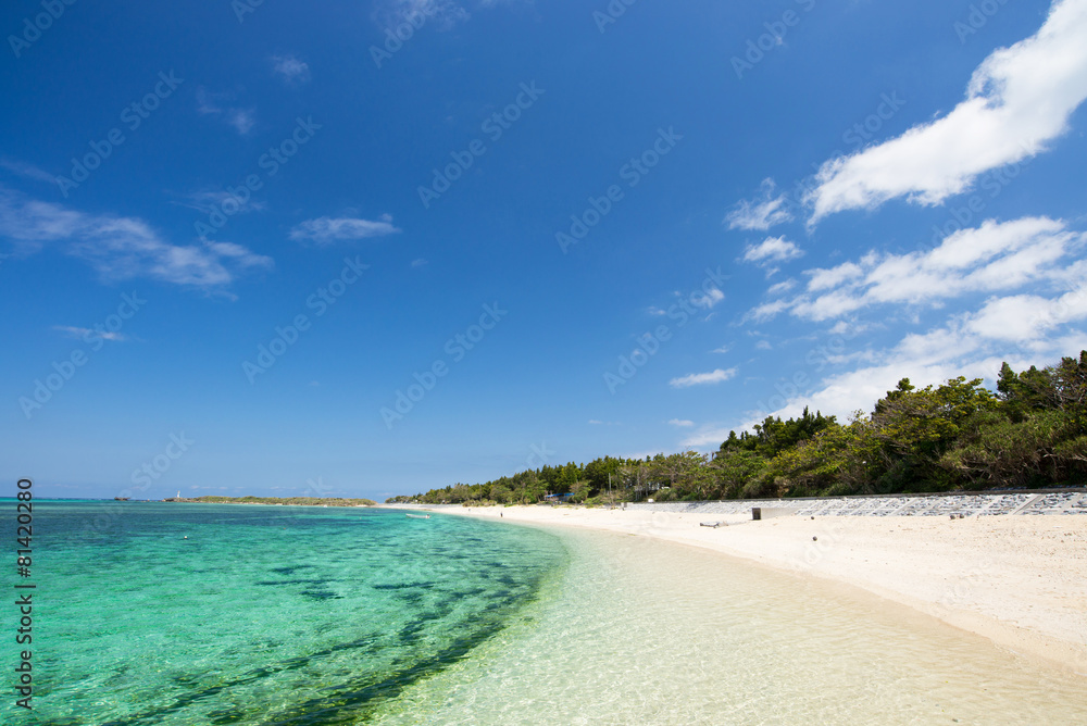 沖縄のビーチ・備瀬の浜