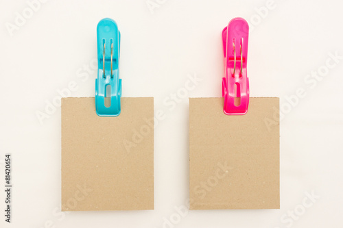 Two Cardboards - Blue and Pink Clothes Pins