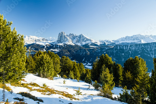 panorama of the Dolomites with snow-capped peaks and conifers © Vivida Photo PC