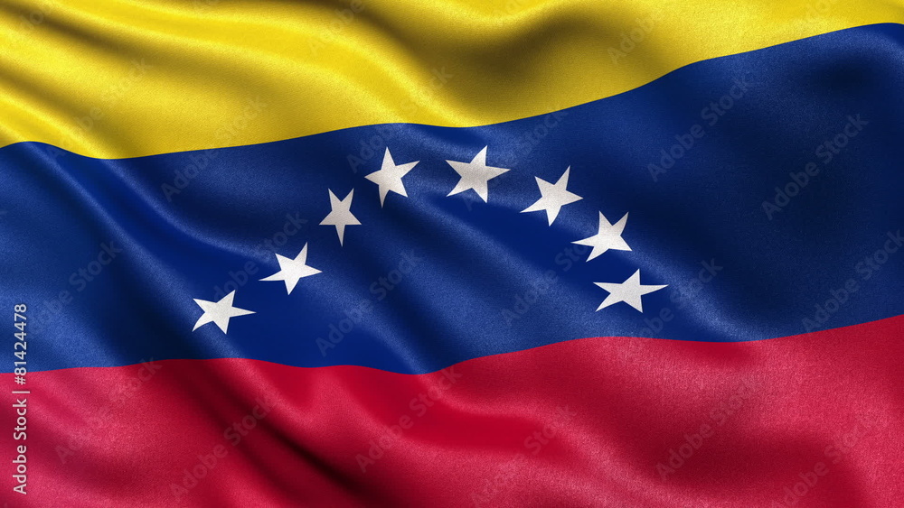 Flag of Venezuela waving in the wind - seamless loop Flag of Venezuela waving in the wind - seamless loop