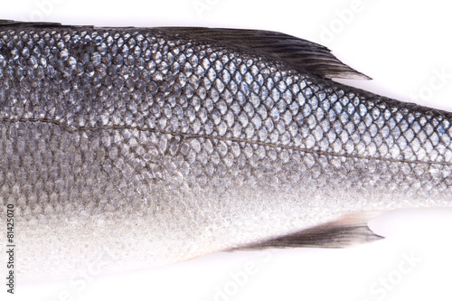 Close up of seabass scale texture.