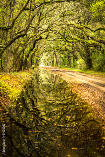 Reflections of Botany Bay photo