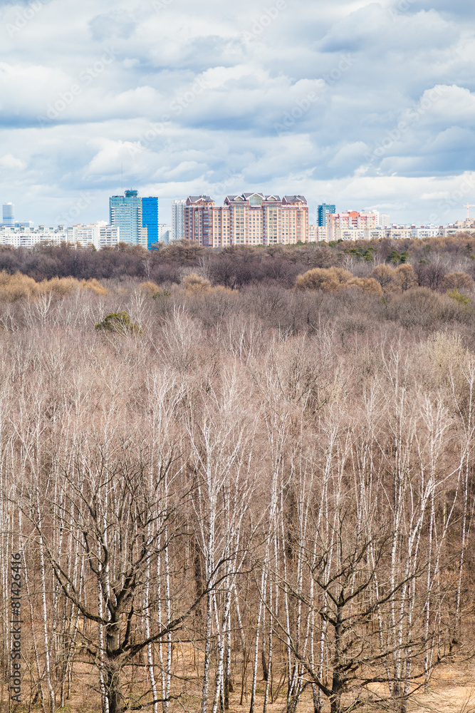 bare trees in spring forest and houses bare trees in spring forest and houses