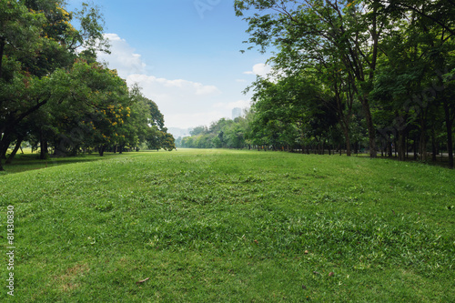 Картината върху платно Landscape lawn in the park