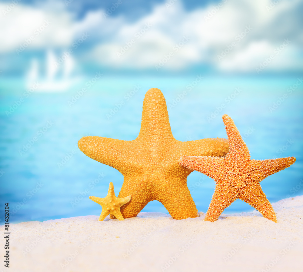 Summer beach. Family of starfish on a seashore. Summer beach. Family of starfish on a seashore.