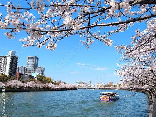 春の毛馬桜之宮公園