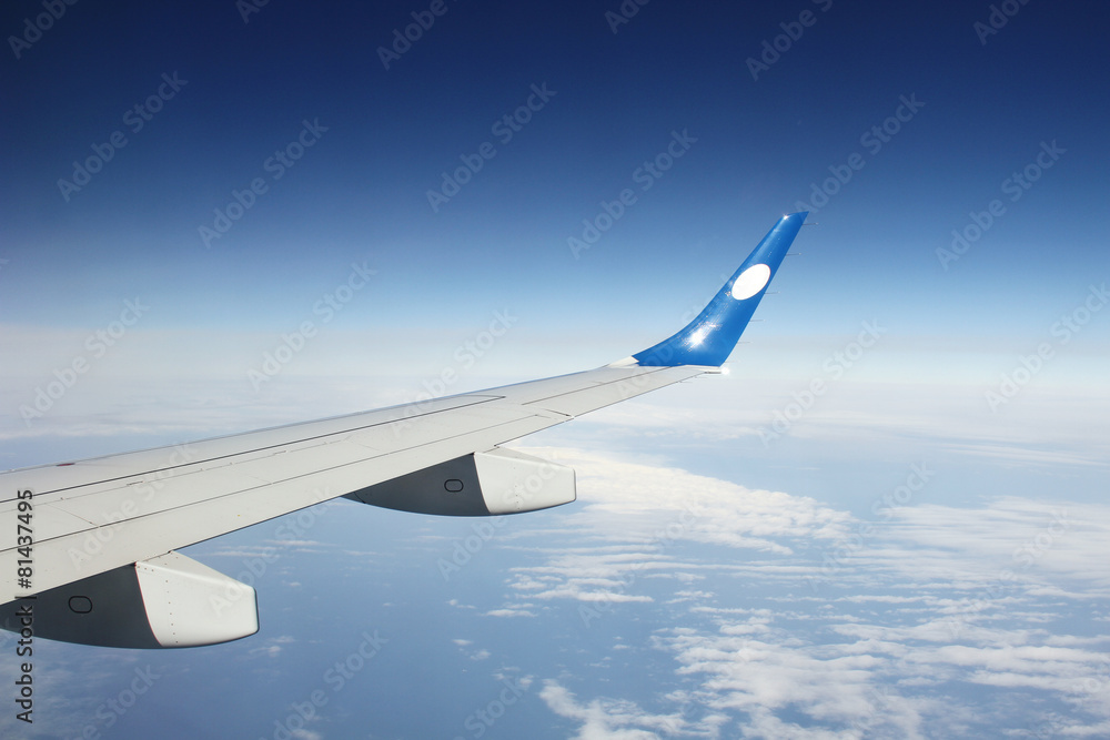 Obraz premium Wing aircraft