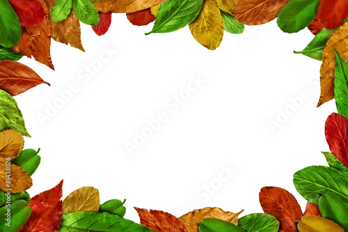Autumn Leaves frame