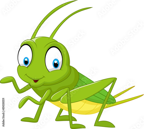 Cartoon funny cricket