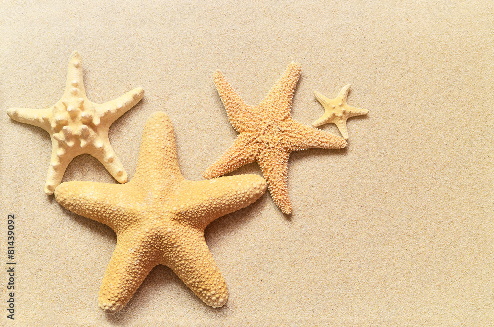 Summer beach. Family of starfish on the sand. Summer beach. Family of starfish on the sand.