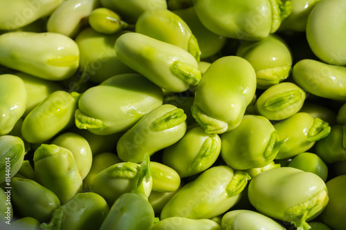 Pile of fava beans, Vicia faba photo