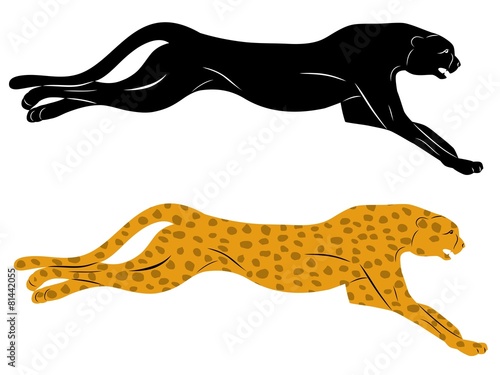 silhouette cheetah