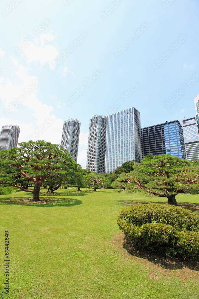 浜離宮恩賜庭園と汐留高層ビル群