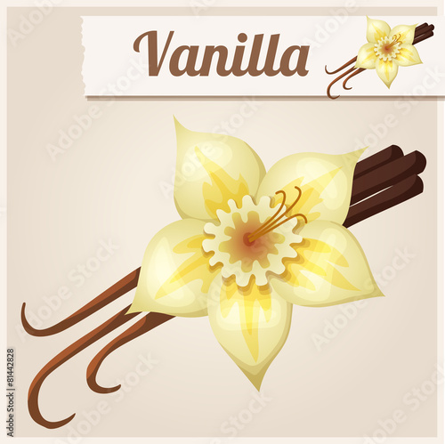 Vanilla. Detailed Vector Icon