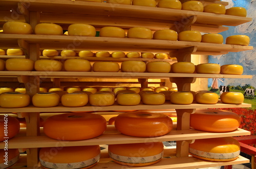 Cheese factory in Holland