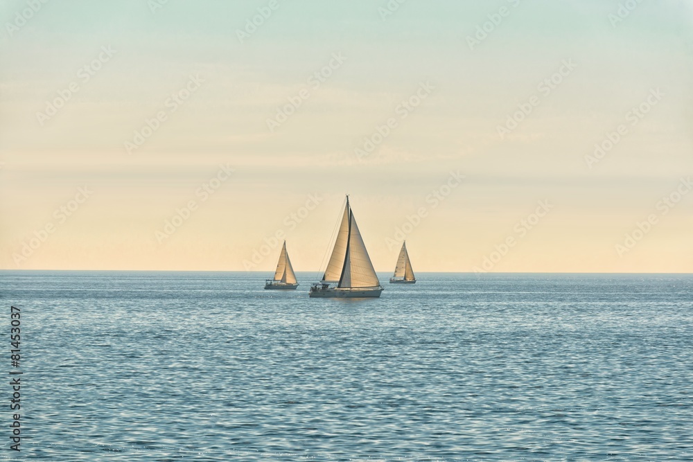 Obraz premium Sail of a sailing boat