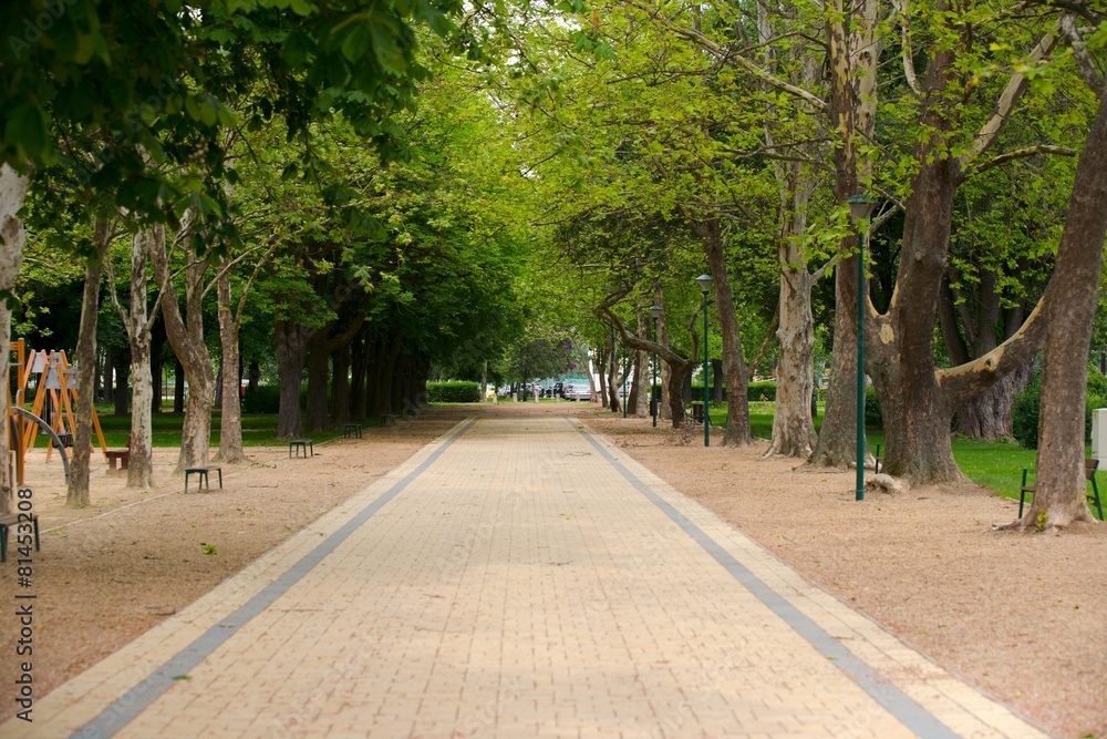 Small Pathway going trough the park