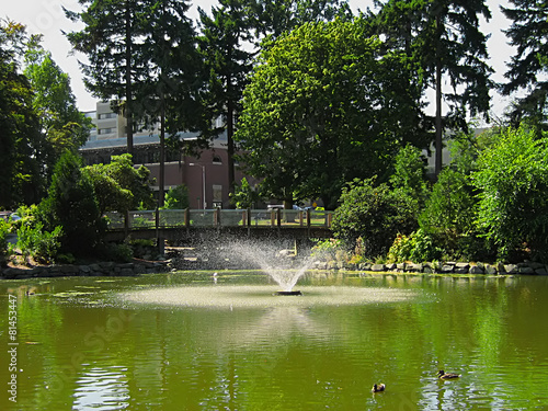 A Walk In The Park
