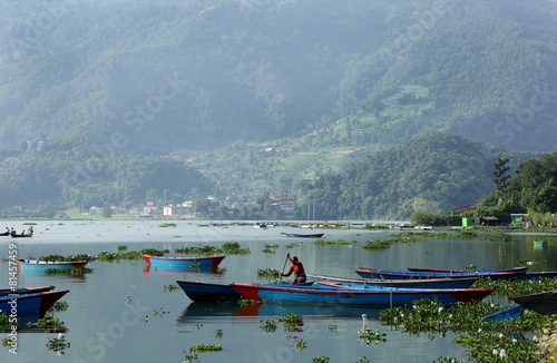 Colorful boats in Phewa lake photo