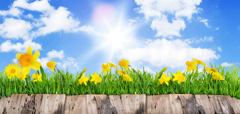 Fototapeta premium Hintergrund Karte Blumen