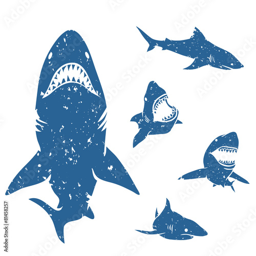 Set of Sharks