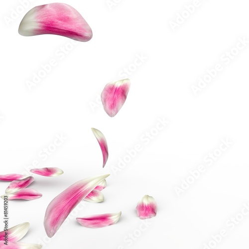 Tulip petals fall to the floor. 3D render