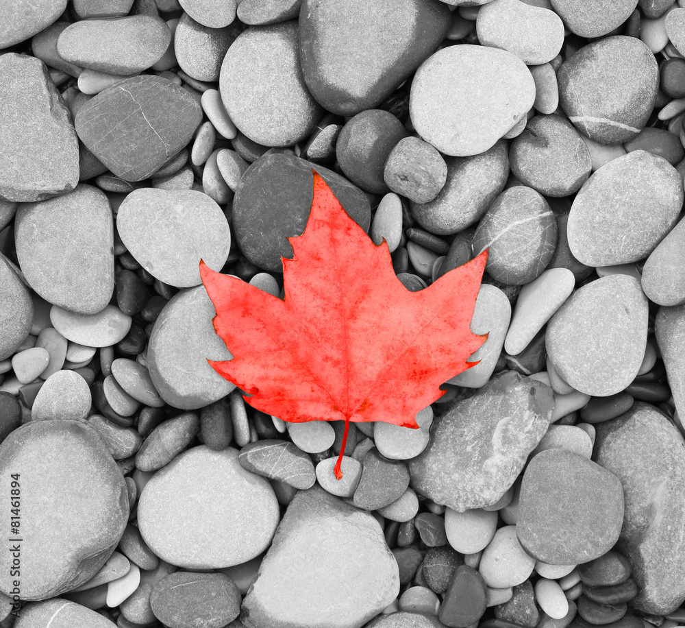 sea stones black and white photo Canada sea stones black and white photo Canada