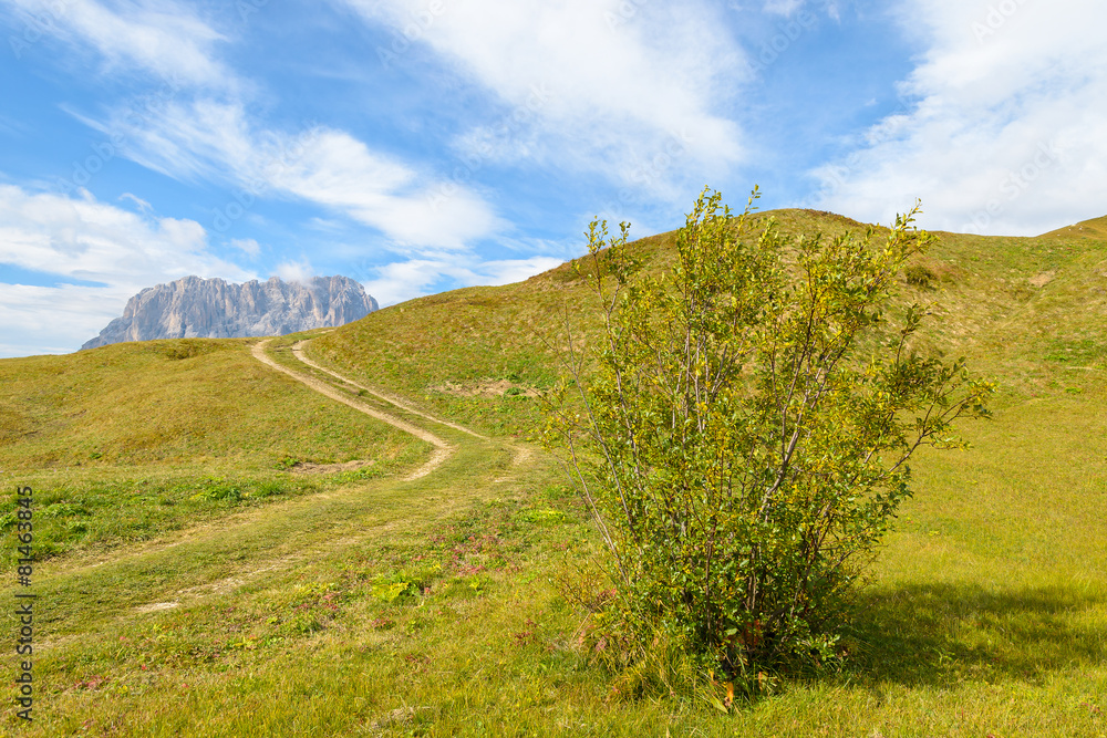 Hiking path in Dolomites Mountains near Passo Gardena, Italy