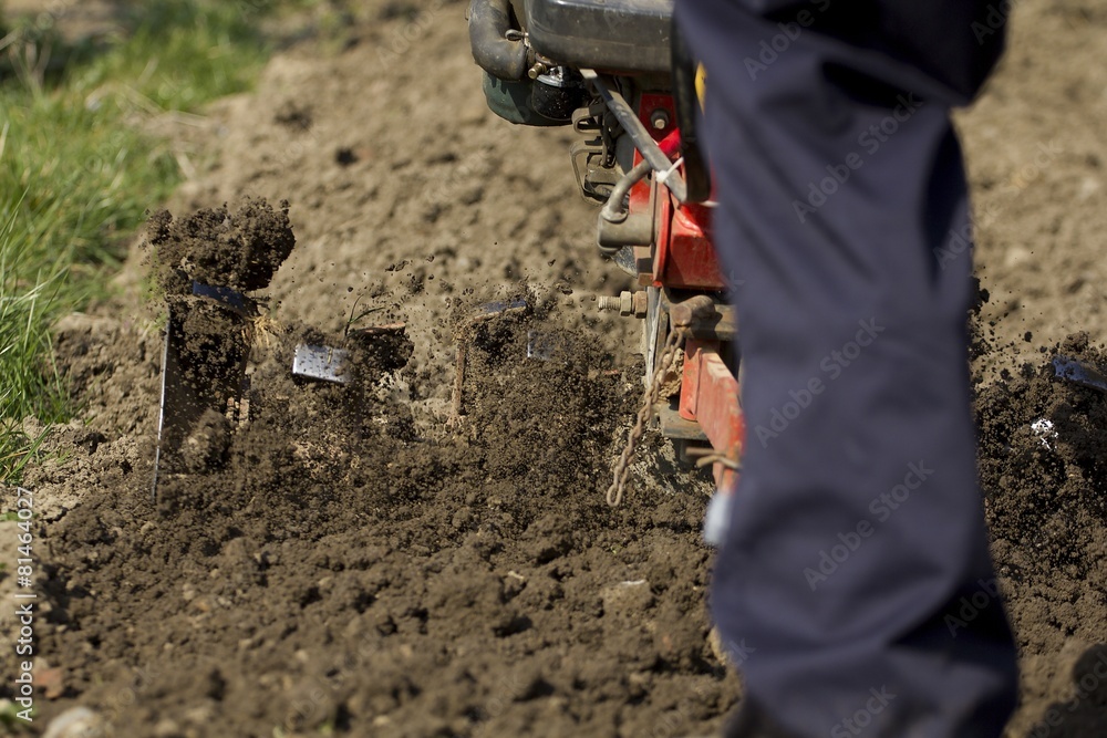 custom made wallpaper toronto digitalHand plowing.