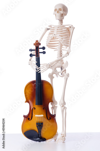 Skeleton with violin isolated on white photo