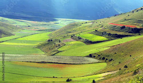 Piano Grande di Castelluccio  Italy 